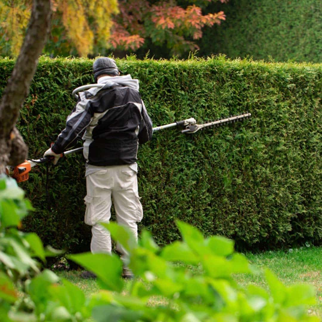 Jardineiro Residencial, Paisagista, Especializado em Combates a pragas."Jardineiro Residencial, Paisagista, Especializado em Combates a pragas.